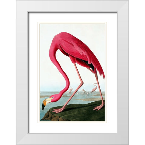 Flamingo White Modern Wood Framed Art Print with Double Matting by Incado