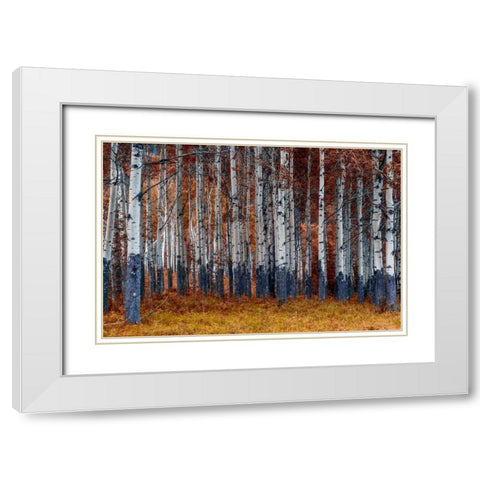 Autumn Forest White Modern Wood Framed Art Print with Double Matting by Kostka, Vladimir