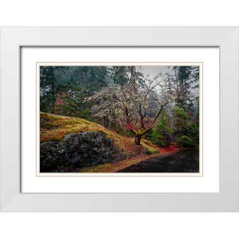 On the Road White Modern Wood Framed Art Print with Double Matting by Kostka, Vladimir