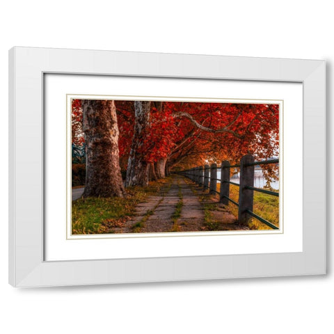 Walk by the River White Modern Wood Framed Art Print with Double Matting by Kostka, Vladimir
