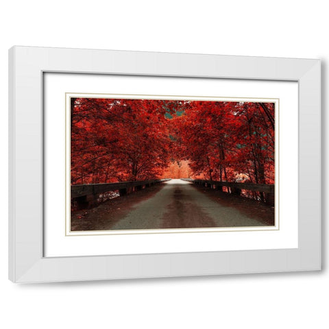 Bridge (Red) White Modern Wood Framed Art Print with Double Matting by Kostka, Vladimir
