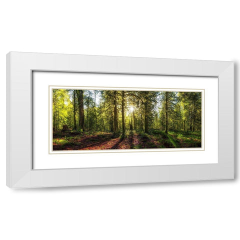 Golden Forest White Modern Wood Framed Art Print with Double Matting by Kostka, Vladimir