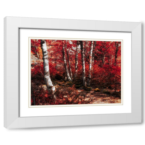 Red Trees Path White Modern Wood Framed Art Print with Double Matting by Kostka, Vladimir