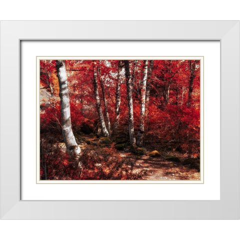 Red Trees Path White Modern Wood Framed Art Print with Double Matting by Kostka, Vladimir