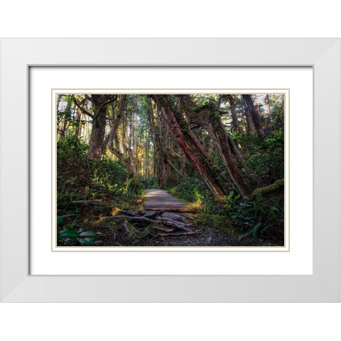 The Path White Modern Wood Framed Art Print with Double Matting by Kostka, Vladimir