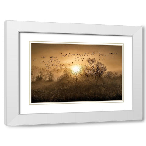 The Flight White Modern Wood Framed Art Print with Double Matting by Kostka, Vladimir