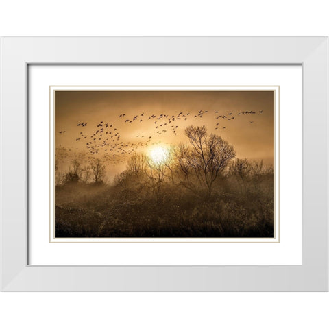 The Flight White Modern Wood Framed Art Print with Double Matting by Kostka, Vladimir