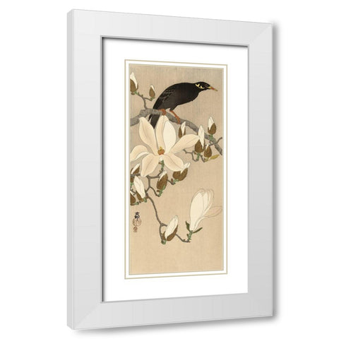 Myna on Magnolia Branch, 1900-1910 White Modern Wood Framed Art Print with Double Matting by Koson, Ohara