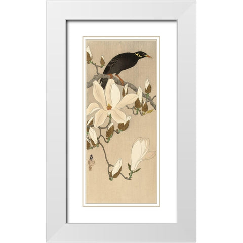 Myna on Magnolia Branch, 1900-1910 White Modern Wood Framed Art Print with Double Matting by Koson, Ohara