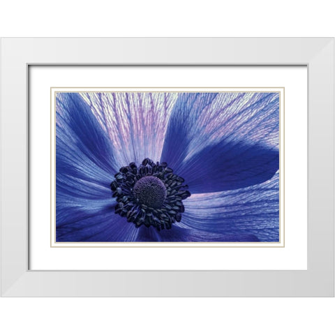 Windsong White Modern Wood Framed Art Print with Double Matting by LeBlanc, Dawn