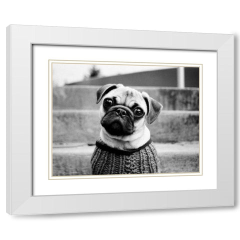 Cleo White Modern Wood Framed Art Print with Double Matting by Levin, Kim