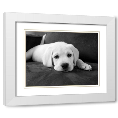 Finn White Modern Wood Framed Art Print with Double Matting by Levin, Kim