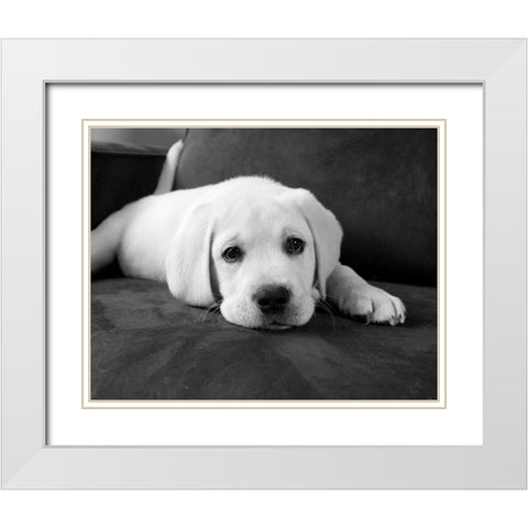 Finn White Modern Wood Framed Art Print with Double Matting by Levin, Kim