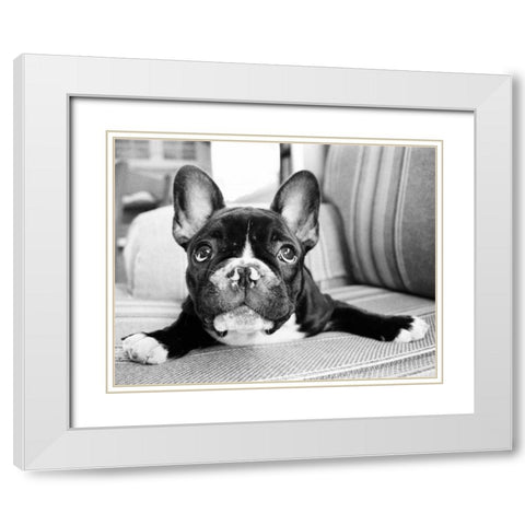 Hugo White Modern Wood Framed Art Print with Double Matting by Levin, Kim