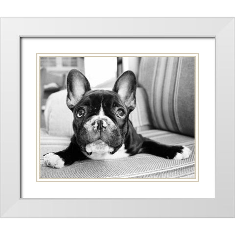 Hugo White Modern Wood Framed Art Print with Double Matting by Levin, Kim