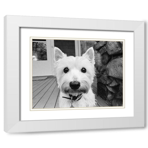 Rosie White Modern Wood Framed Art Print with Double Matting by Levin, Kim