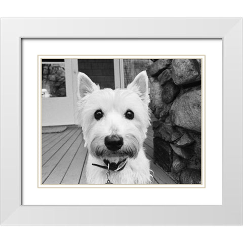 Rosie White Modern Wood Framed Art Print with Double Matting by Levin, Kim