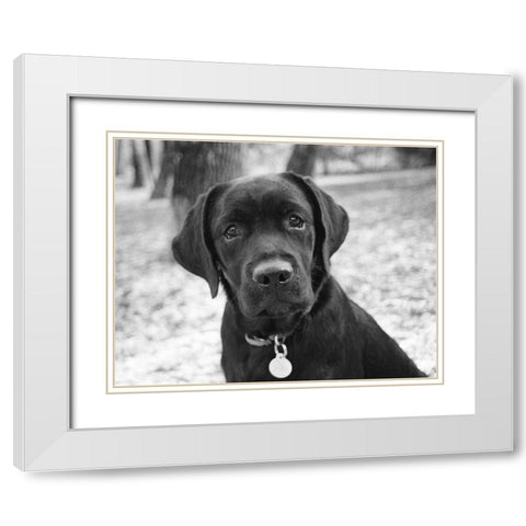 Zoey White Modern Wood Framed Art Print with Double Matting by Levin, Kim