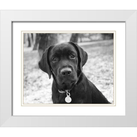 Zoey White Modern Wood Framed Art Print with Double Matting by Levin, Kim