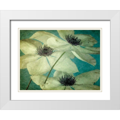 Klema White Modern Wood Framed Art Print with Double Matting by LeBlanc, Dawn