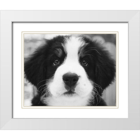 Ben White Modern Wood Framed Art Print with Double Matting by Levin, Kim