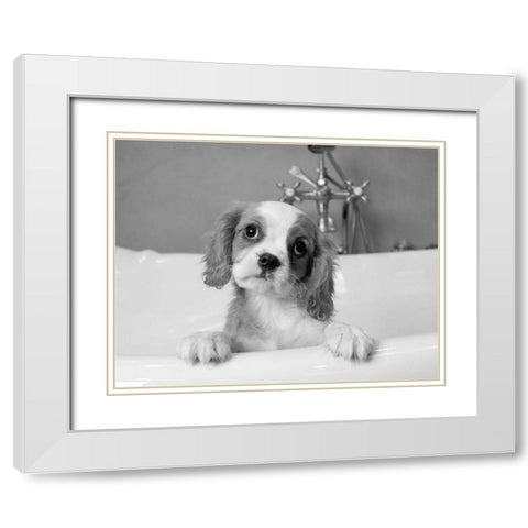 Lulu White Modern Wood Framed Art Print with Double Matting by Levin, Kim