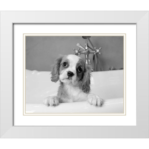 Lulu White Modern Wood Framed Art Print with Double Matting by Levin, Kim