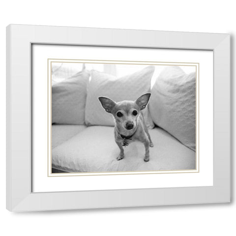 Sweetpea White Modern Wood Framed Art Print with Double Matting by Levin, Kim