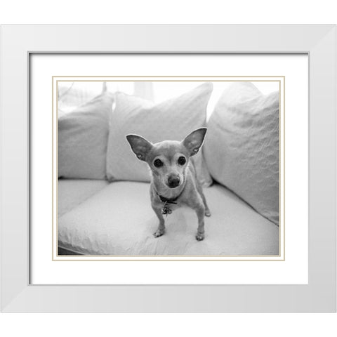 Sweetpea White Modern Wood Framed Art Print with Double Matting by Levin, Kim