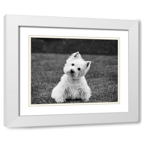 Winnie White Modern Wood Framed Art Print with Double Matting by Levin, Kim