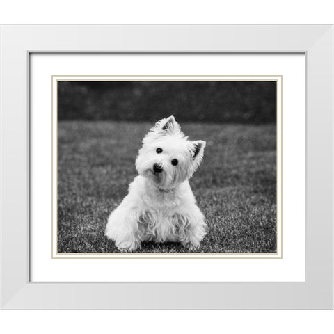 Winnie White Modern Wood Framed Art Print with Double Matting by Levin, Kim