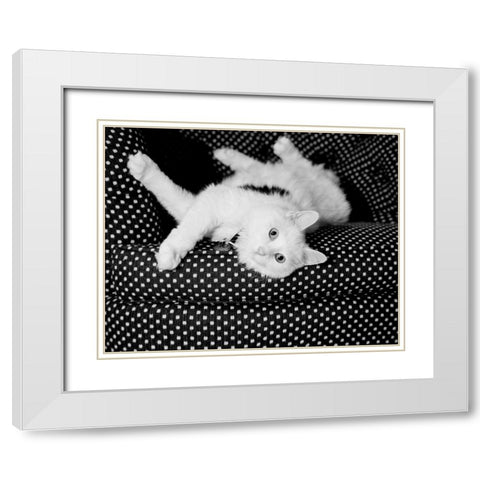 Birdie White Modern Wood Framed Art Print with Double Matting by Levin, Kim