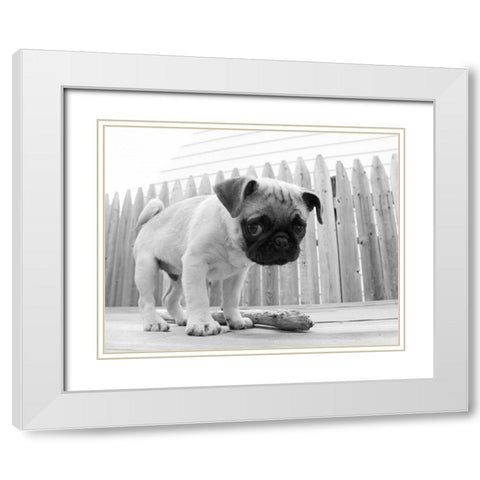 Bentley White Modern Wood Framed Art Print with Double Matting by Levin, Kim