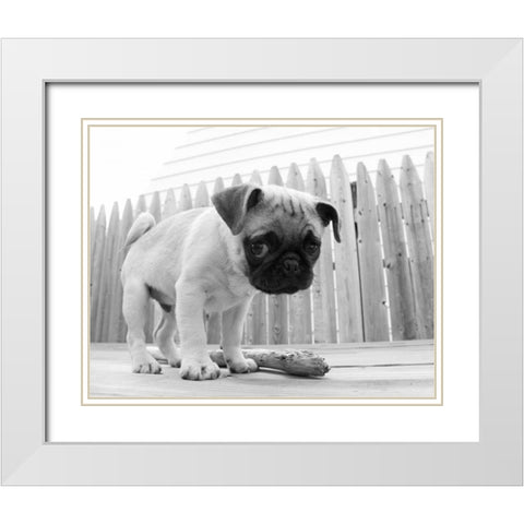 Bentley White Modern Wood Framed Art Print with Double Matting by Levin, Kim