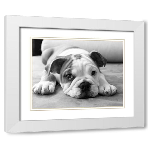 Bodhi White Modern Wood Framed Art Print with Double Matting by Levin, Kim