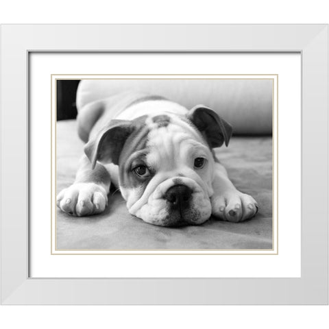 Bodhi White Modern Wood Framed Art Print with Double Matting by Levin, Kim