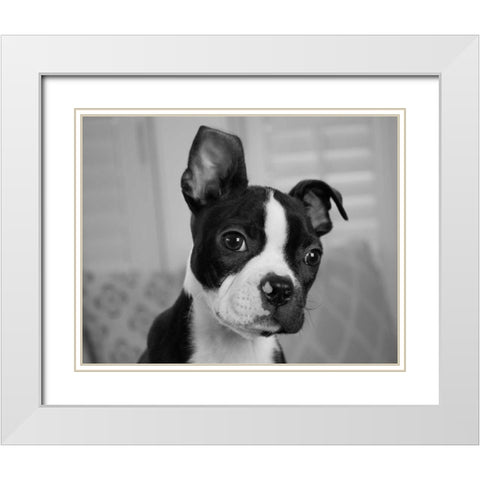 Hugo the Thinker White Modern Wood Framed Art Print with Double Matting by Levin, Kim