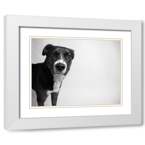 Reilly White Modern Wood Framed Art Print with Double Matting by Levin, Kim