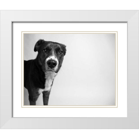 Reilly White Modern Wood Framed Art Print with Double Matting by Levin, Kim