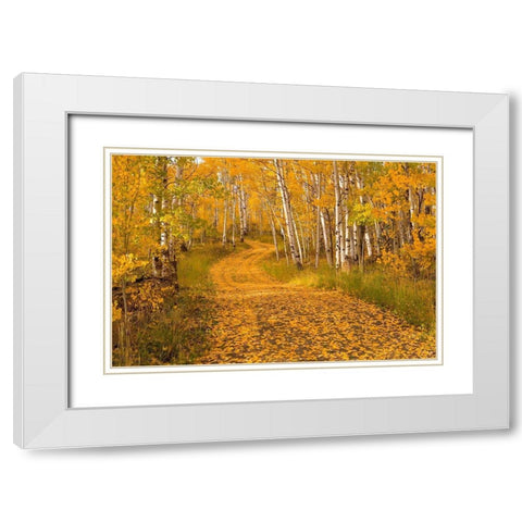 Aspen Tree Trunks White Modern Wood Framed Art Print with Double Matting by Leacock, J.C.