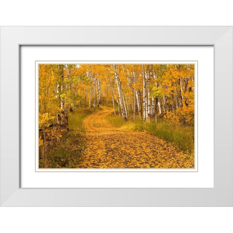 Aspen Tree Trunks White Modern Wood Framed Art Print with Double Matting by Leacock, J.C.