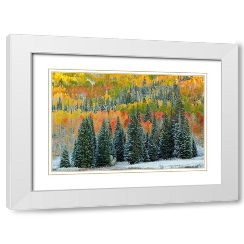 Christmas Trees White Modern Wood Framed Art Print with Double Matting by Leacock, J.C.