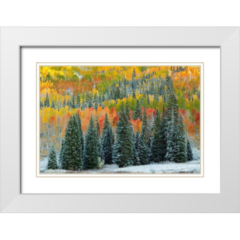 Christmas Trees White Modern Wood Framed Art Print with Double Matting by Leacock, J.C.