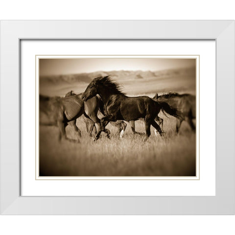 Dark Horse White Modern Wood Framed Art Print with Double Matting by Leacock, J.C.
