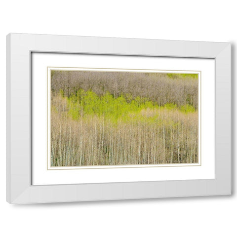 Emergence White Modern Wood Framed Art Print with Double Matting by Leacock, J.C.