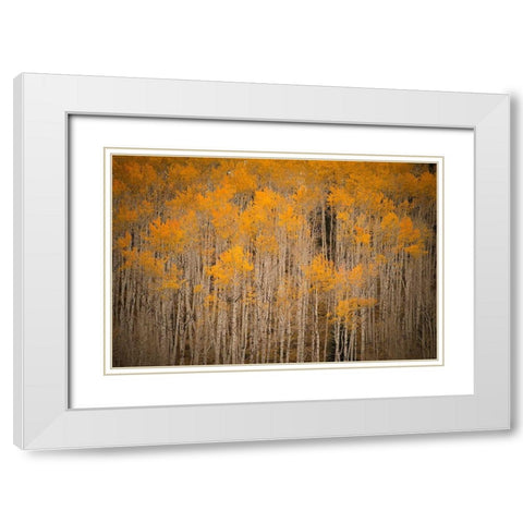Intimate Aspen White Modern Wood Framed Art Print with Double Matting by Leacock, J.C.