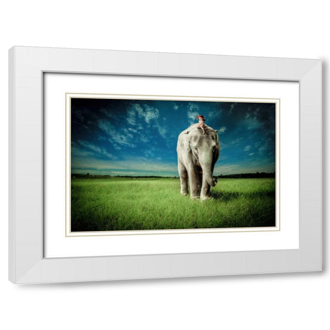 Elephant Carry Me White Modern Wood Framed Art Print with Double Matting by Madison, Jeff