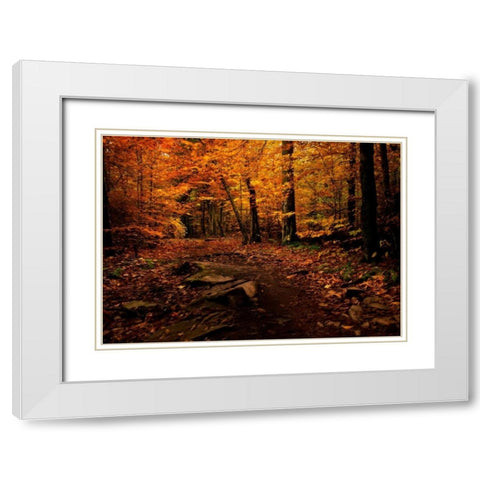 Autumn Path White Modern Wood Framed Art Print with Double Matting by Mikaels, Natalie