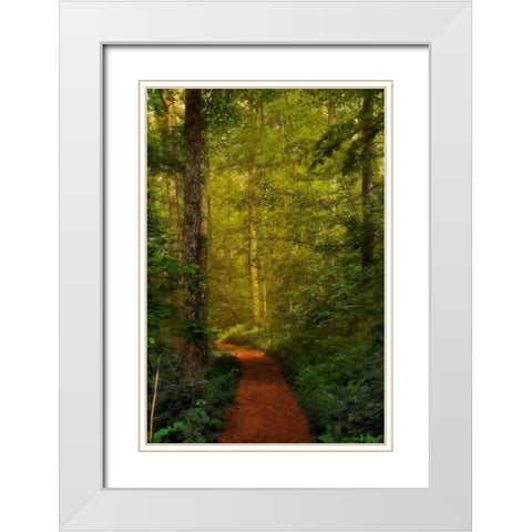 Fairytale Path White Modern Wood Framed Art Print with Double Matting by Mikaels, Natalie