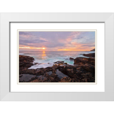Natures Palette White Modern Wood Framed Art Print with Double Matting by Mikaels, Natalie